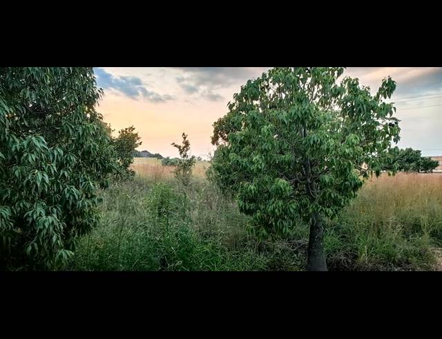 LAND FOR SALE IN VAALOEWER